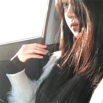 鸟与蜜蜂